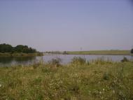 Федорівка з panoramio.com