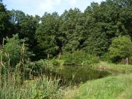 Велика Калинка з panoramio.com