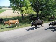 Якторів з panoramio.com