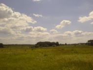 Єлівка з panoramio.com