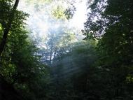 Зарічне з panoramio.com