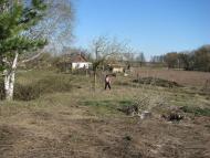 Кованьківка з panoramio.com