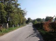 Хащеве з panoramio.com