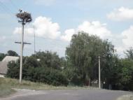 Матяшівка з panoramio.com