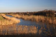 Павлівка з panoramio.com