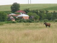 Пуків з panoramio.com