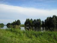 Берестовець з panoramio.com