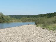 Блюдники з panoramio.com