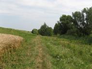 Яхни з panoramio.com