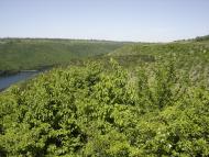 Хребтіїв з panoramio.com