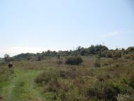 Сухий Лиман з panoramio.com