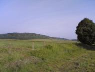 Блюдники з panoramio.com