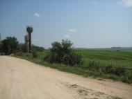 Поліське з panoramio.com