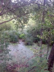 Землянка з panoramio.com