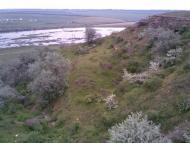 Єгорівка з panoramio.com