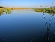 Балахівка з panoramio.com
