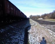 Шепелівка з panoramio.com