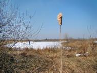 Вишнів з panoramio.com