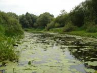 Снов'янка з panoramio.com