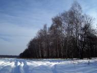 Кут з panoramio.com