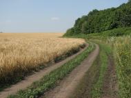 Бірки з panoramio.com