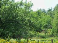 Пологи-Низ з panoramio.com