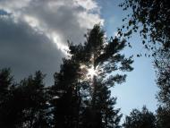 Жирки з panoramio.com