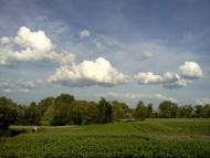 Гурівці з panoramio.com