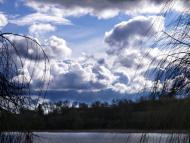 Майданецьке з panoramio.com - Maydanetske