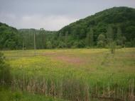 Довге з panoramio.com