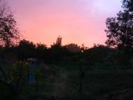 Привітне з panoramio.com