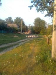 Руднєве - Останні фото