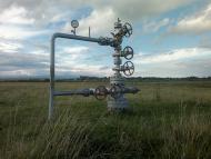 Ковиничі з panoramio.com