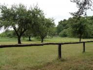 Клепачів з panoramio.com