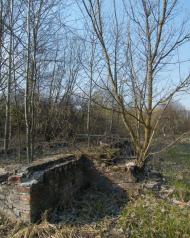 Линея з panoramio.com