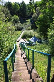 Сорокопень з panoramio.com