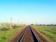 Шевченкове з panoramio.com