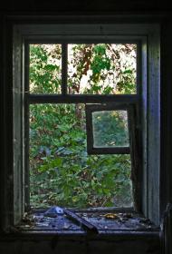 В'язівка з panoramio.com