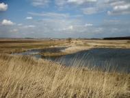 Сороки-Львівські з panoramio.com