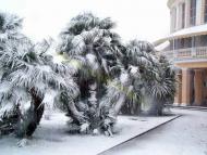 Чернігівка з panoramio.com