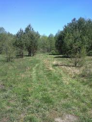 Собичеве з panoramio.com