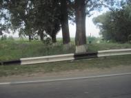 Суворове з panoramio.com