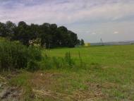 Вила з panoramio.com - Вила