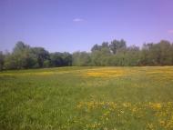 Варівці з panoramio.com