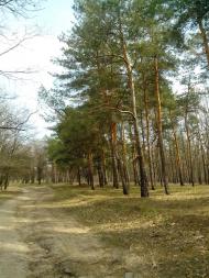 Лисичанський з panoramio.com