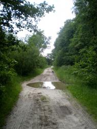 Радецька Болярка з panoramio.com