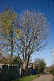 Харківці з panoramio.com