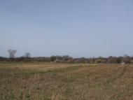 Петрушин з panoramio.com