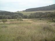 Павлів з panoramio.com