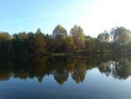 Линея з panoramio.com